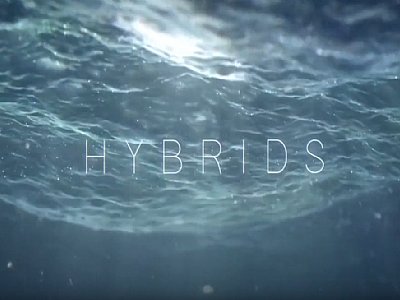 Hybrids@hCGSӮ3DҕlƬp